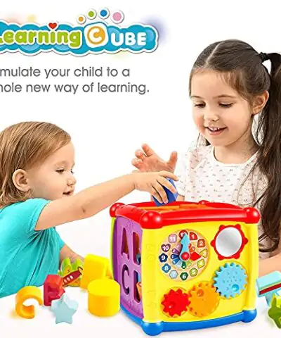 LAGERFEY Early Learning Shape Sorter Baby Toys for toddlers