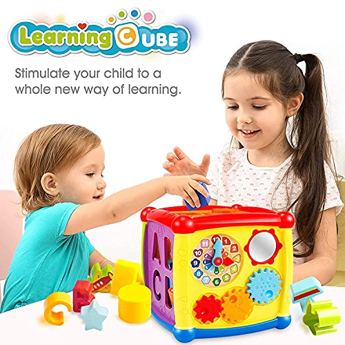 LAGERFEY Early Learning Shape Sorter Baby Toys for toddlers